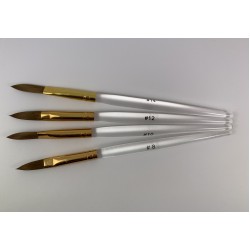 Classy Professional Acrylic Brush Set Sizes 8, 10, 12 & 14